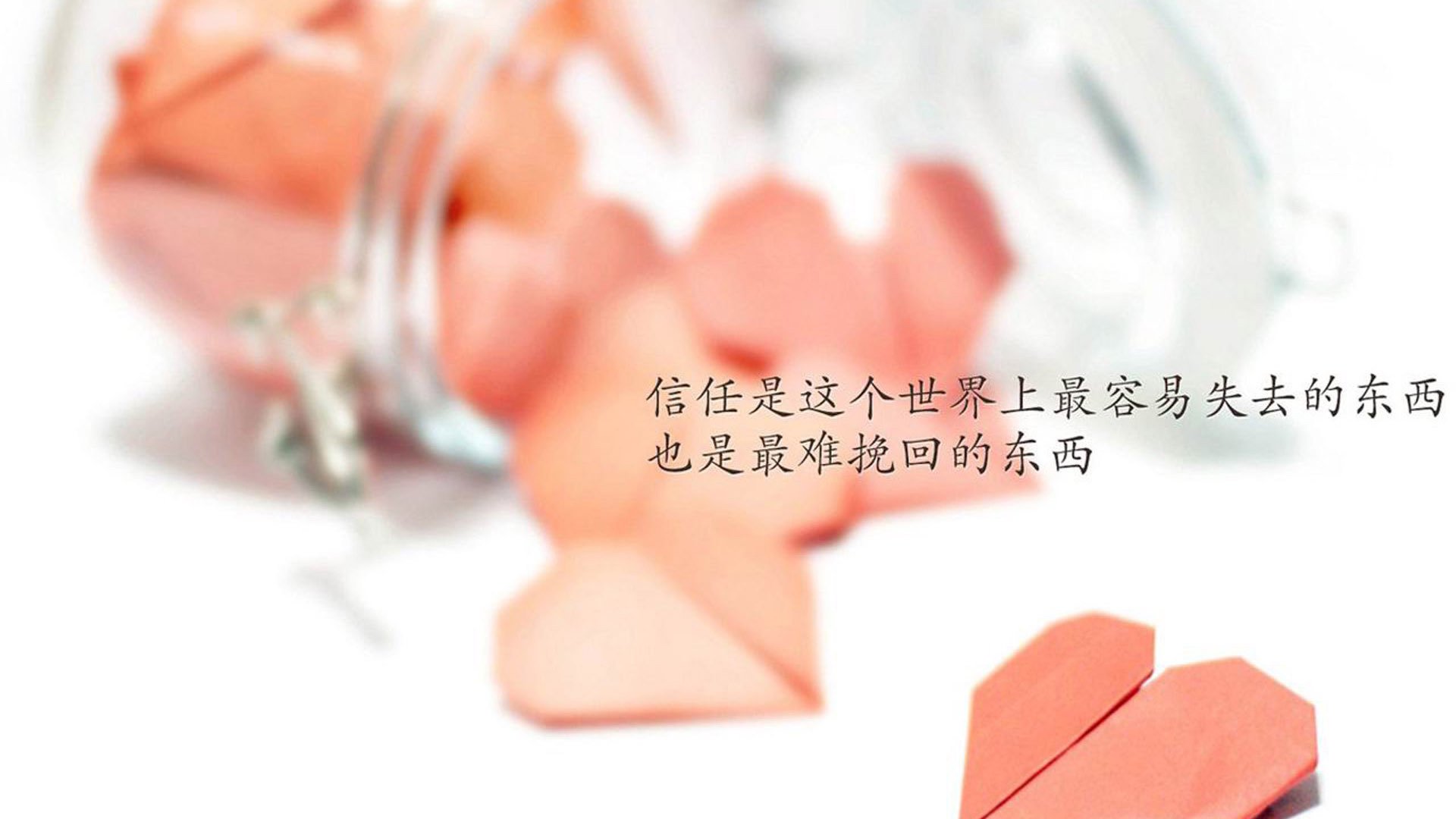 im电竞官方-_亲子乐园：少年儿童与父母共诉运动梦想_，亲子共同参与