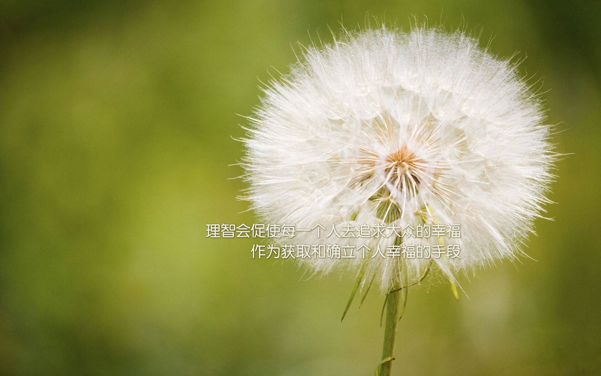 im电竞官方-“青训нов技术应用于日常训练，促进少年足球技术突破”，青训足球教学零基础