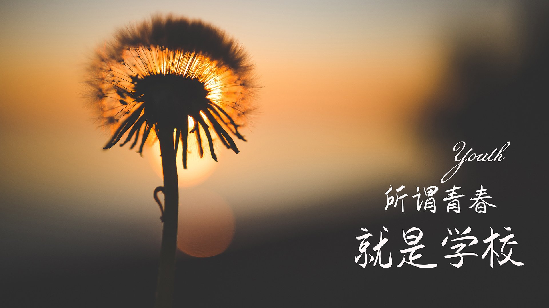 im体育在线登录入口地址-传奇“守门员”在欧冠舞台上的巅峰表现，守门员转会排行榜