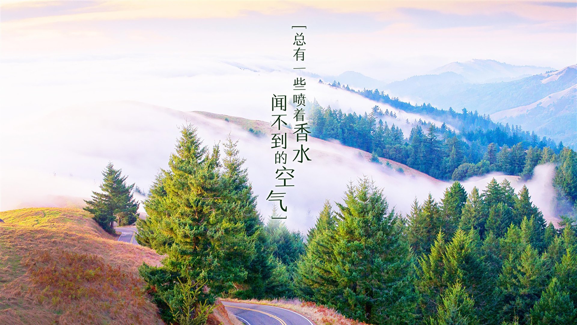 IM体官网-足球赛事舞美包装趋向视觉升级创新，舞台足球表演动作