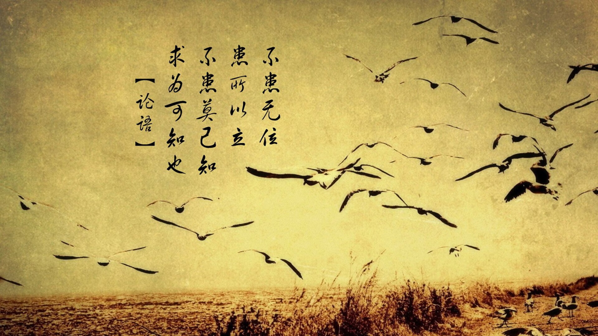 im体育最新安全APP下载-中卫持球推进能力是否成为球探评估关键，中卫球员