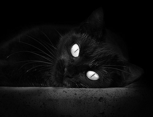 im体育平台官网-欧洲杯战术创新:变化多端的布局折服众人,欧洲杯战术分析