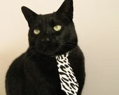 IM体育 APP下载地址-皮特·斯图斯的防守表现堪称世界顶级，帮助南非队守住领先优势