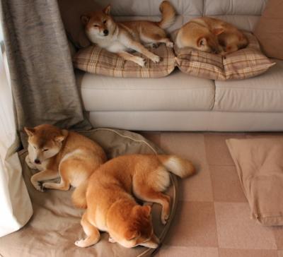 im体育官网首页-职业联赛推动替补席管理制度提升比赛规范性,比赛替补队员可以在任何时候入场