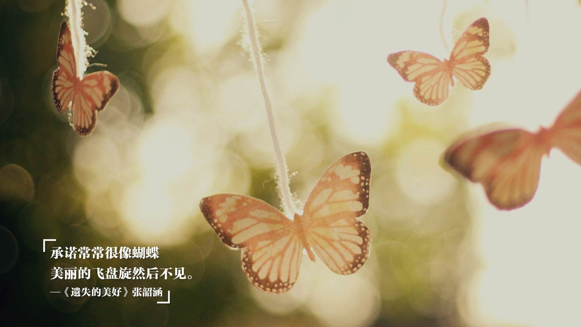 im体育官方登录-苏炳添完成大学讲座反响热烈积极,苏炳添大学教授